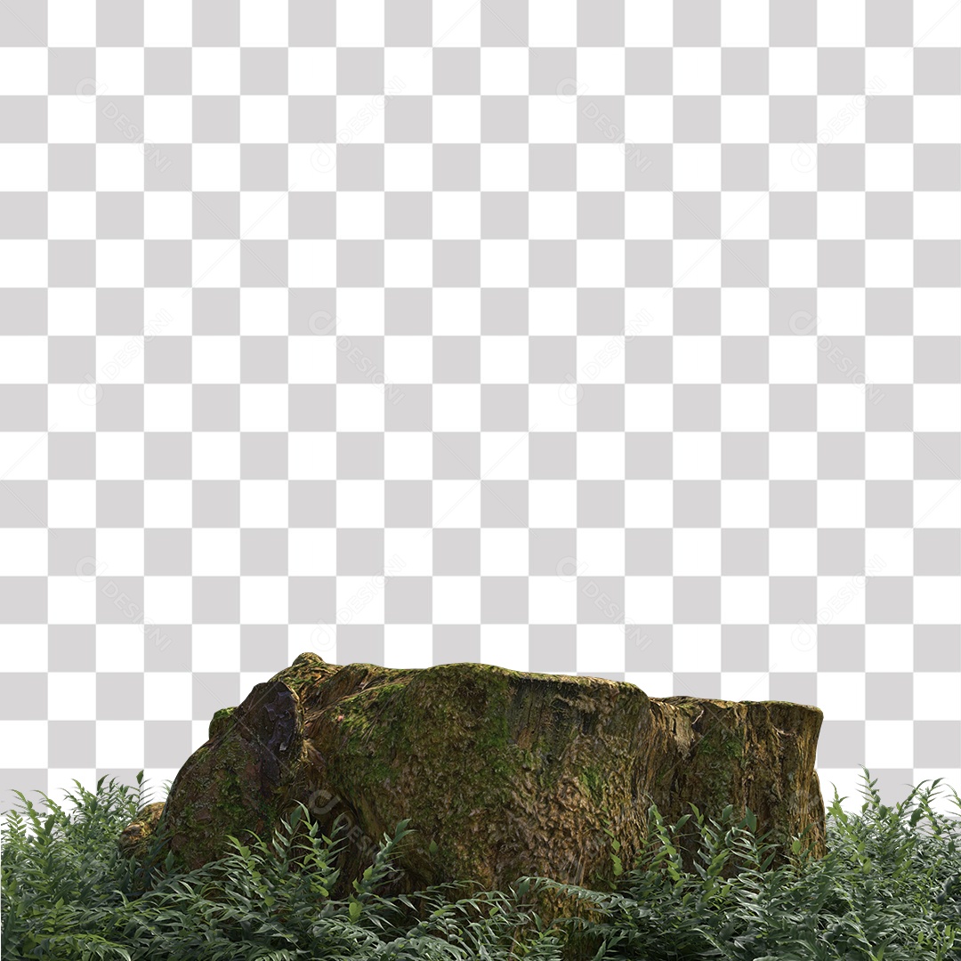 Tronco de árvore Planta PNG Transparente