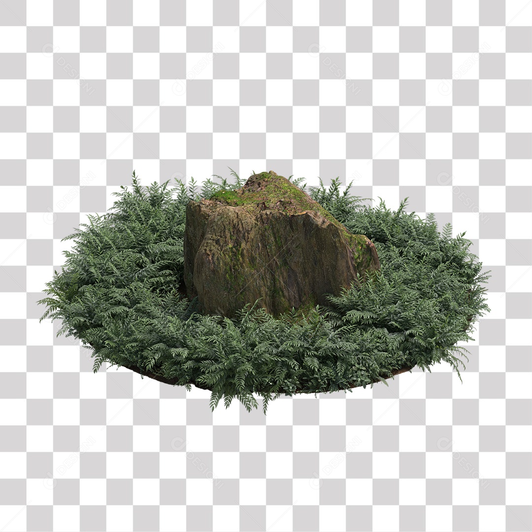 Planta com folhas verdes pedra PNG Transparente