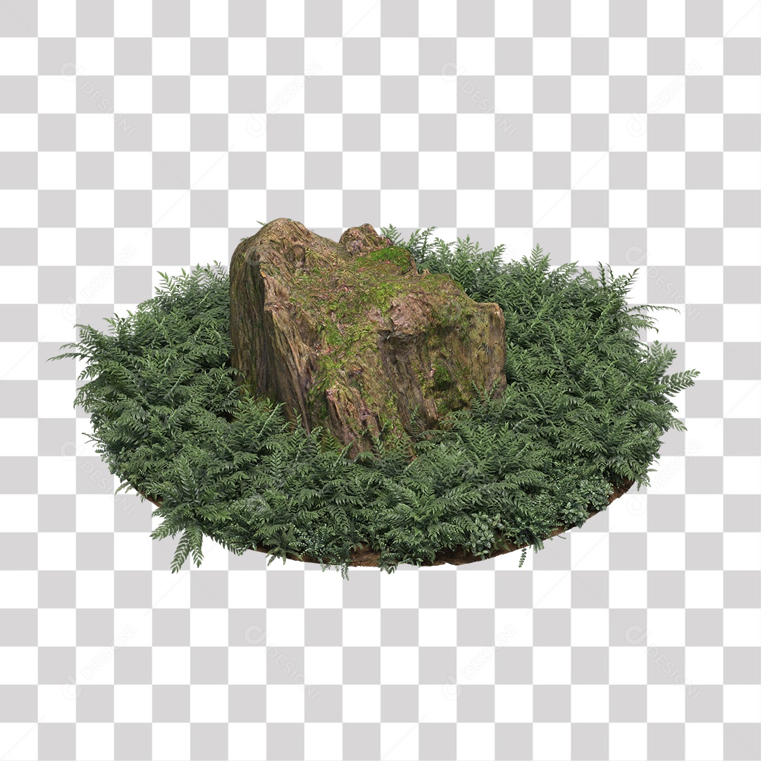 Planta com folhas verdes pedra PNG Transparente