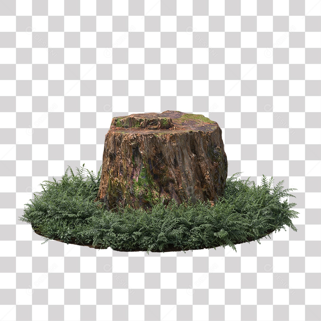 Tronco de árvore Planta PNG Transparente