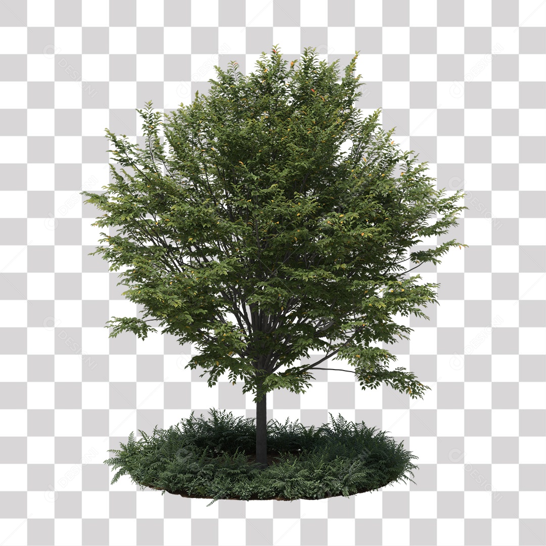 Árvore de Folha Verde Coqueiro Planta PNG Transparente