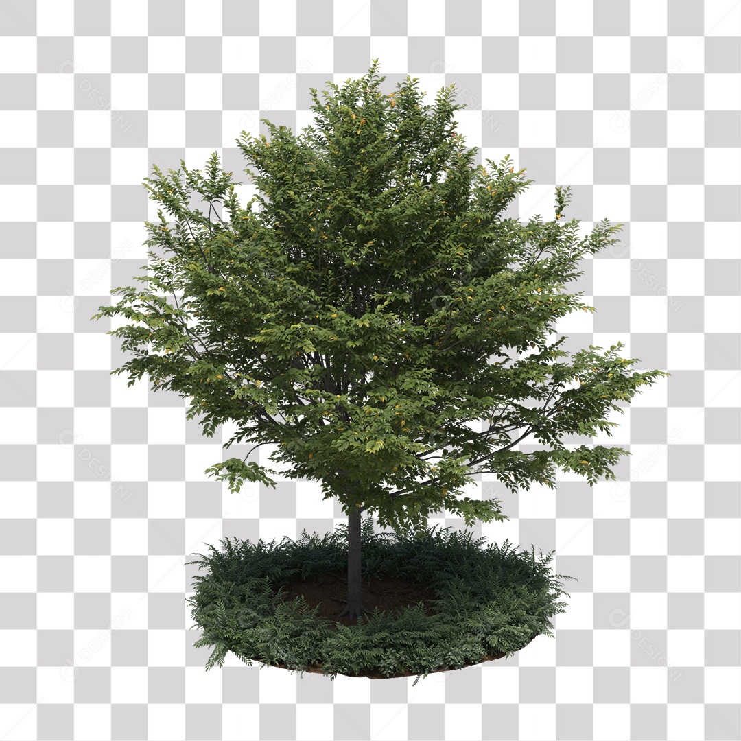 Árvore de Folha Verde Coqueiro Planta PNG Transparente