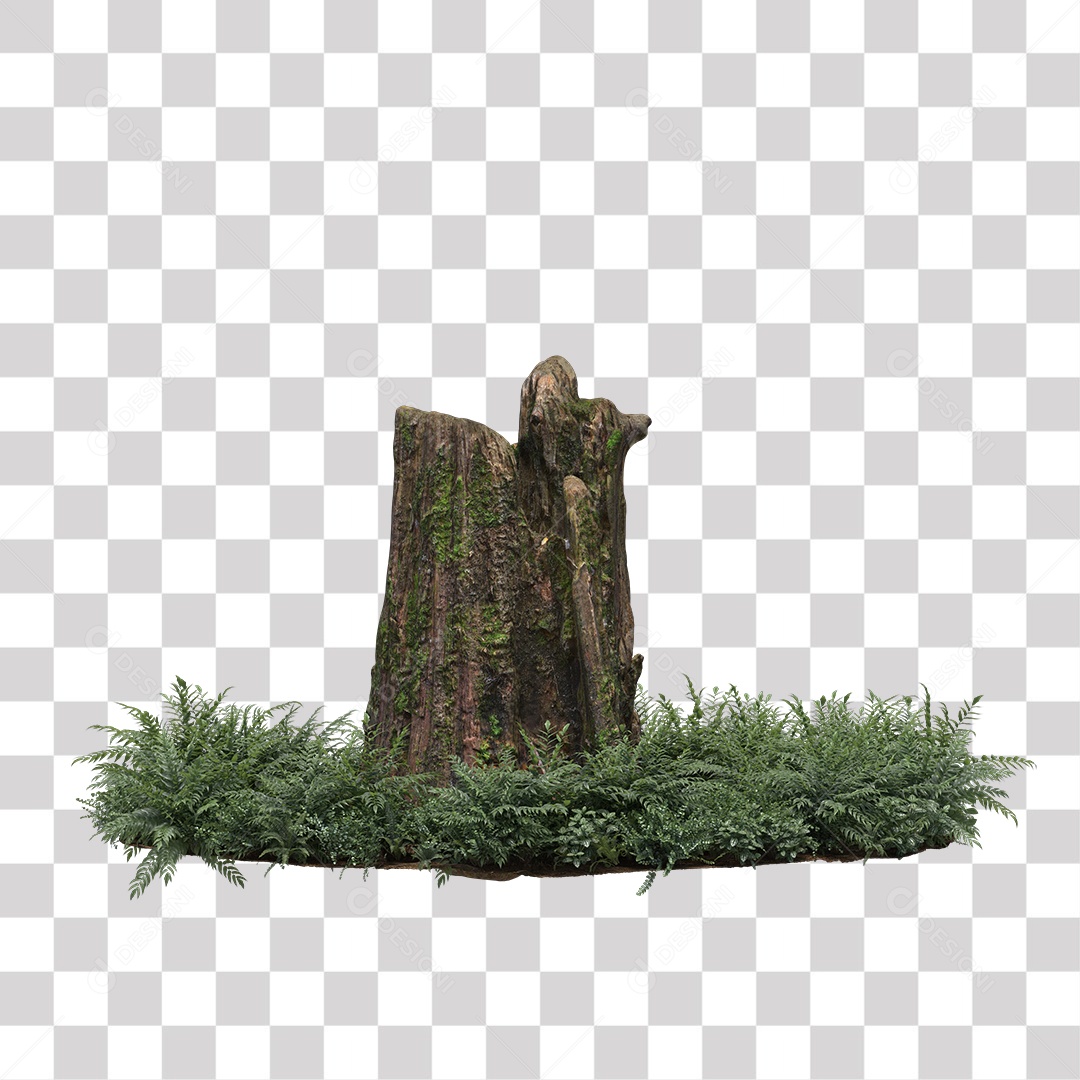 Tronco de árvore Planta PNG Transparente