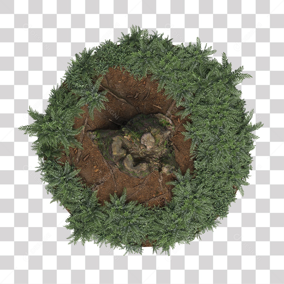 Tronco de árvore Planta PNG Transparente