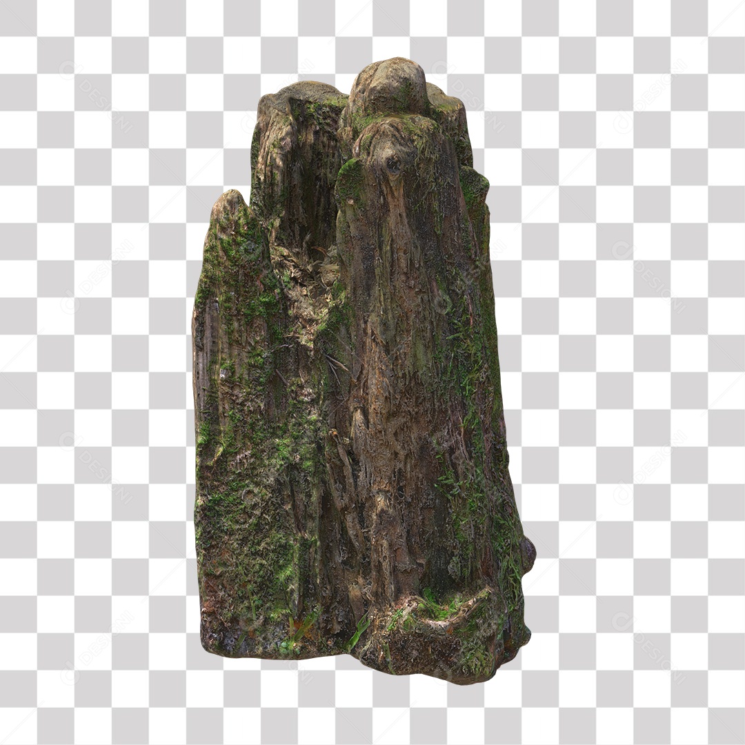 Tronco de árvore Planta PNG Transparente