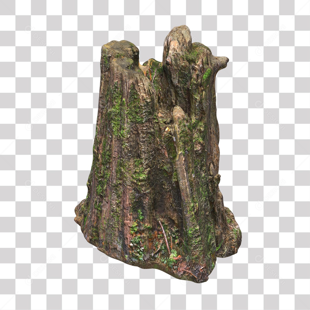 Tronco de árvore Planta PNG Transparente