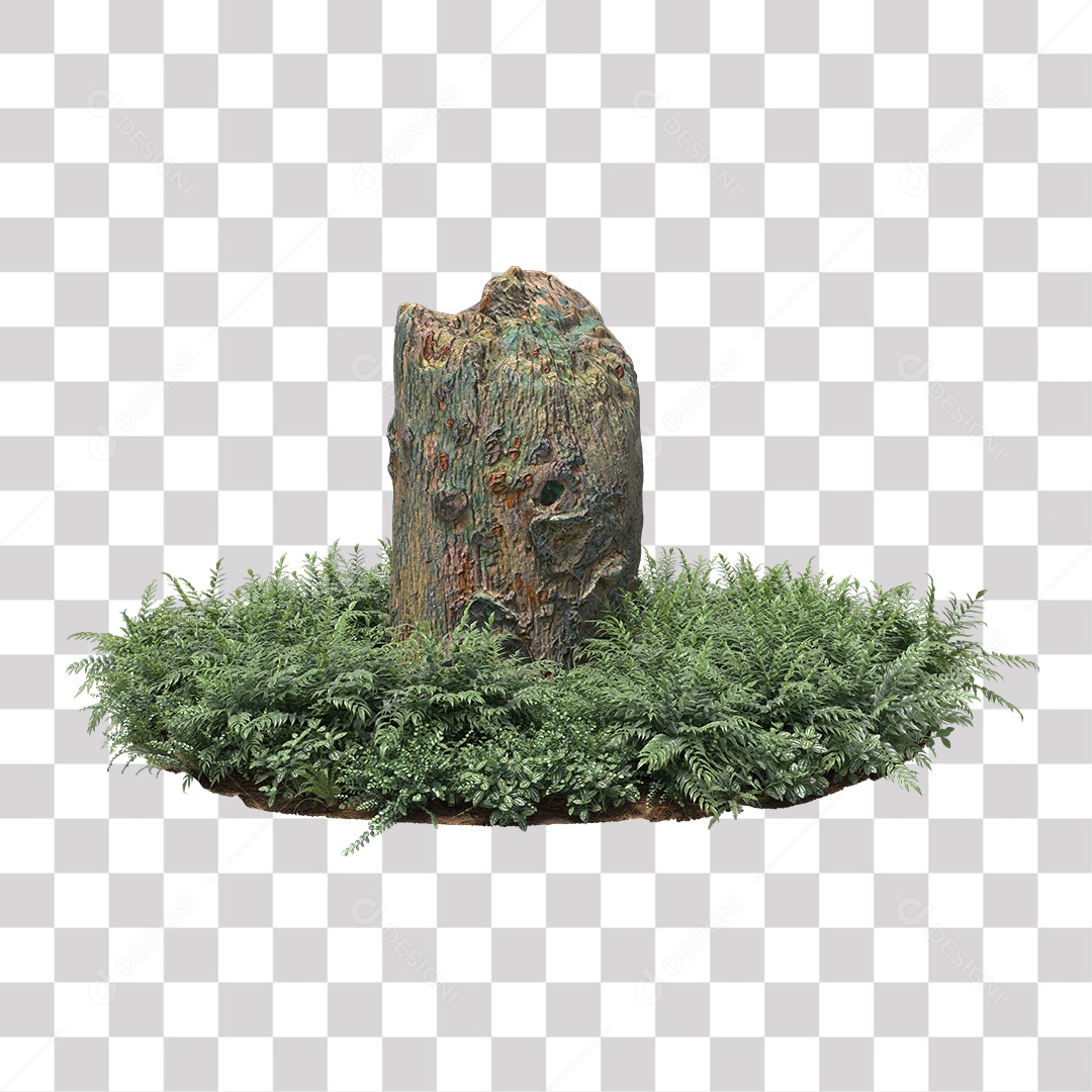 Tronco de árvore Planta PNG Transparente