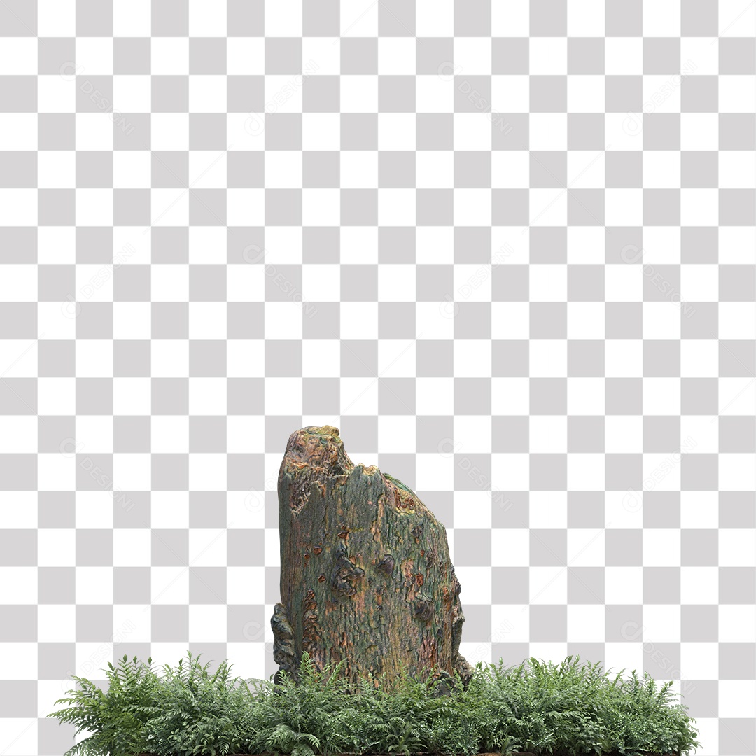 Tronco de árvore Planta PNG Transparente