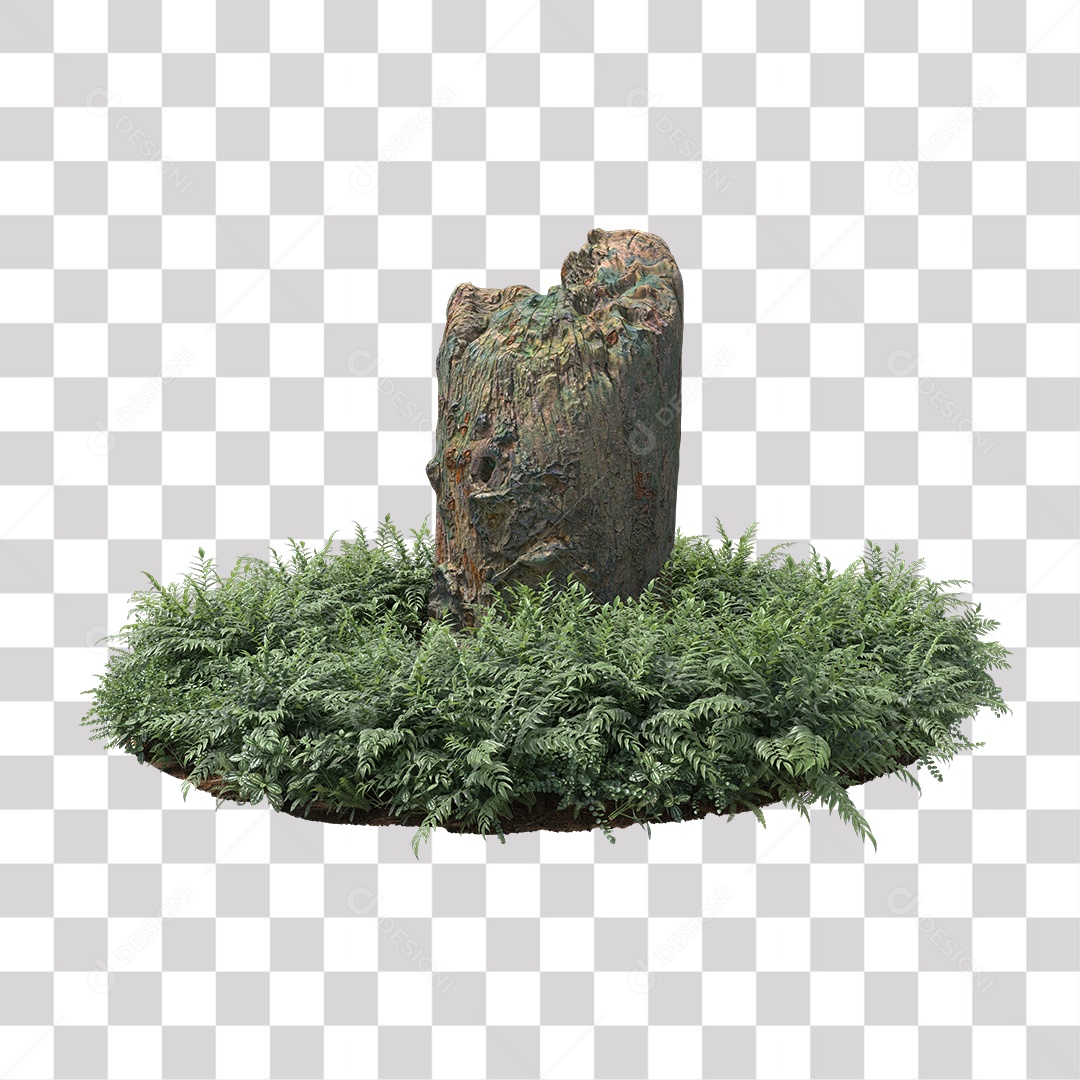 Tronco de árvore Planta PNG Transparente