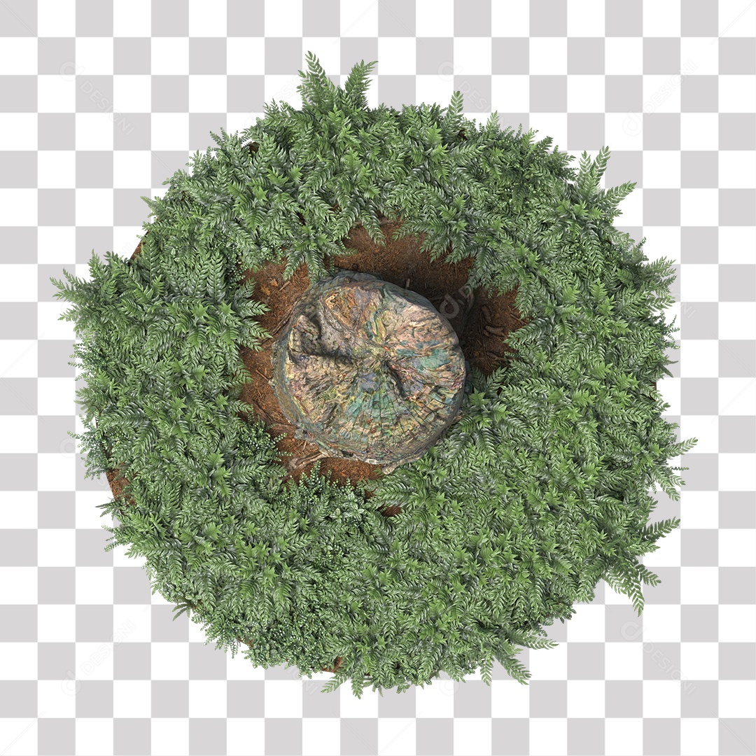 Tronco de árvore Planta PNG Transparente