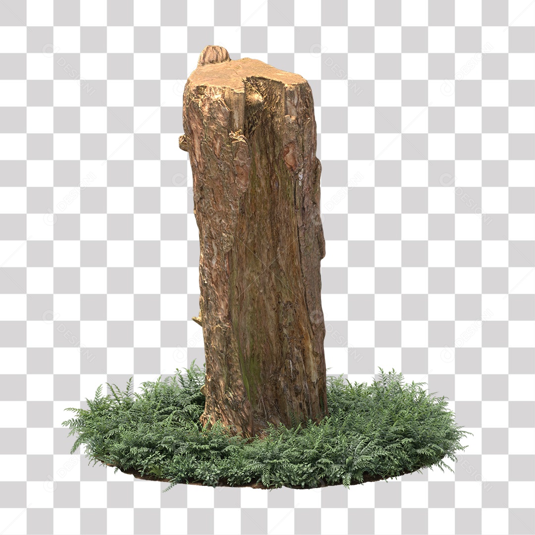 Tronco de árvore Planta PNG Transparente