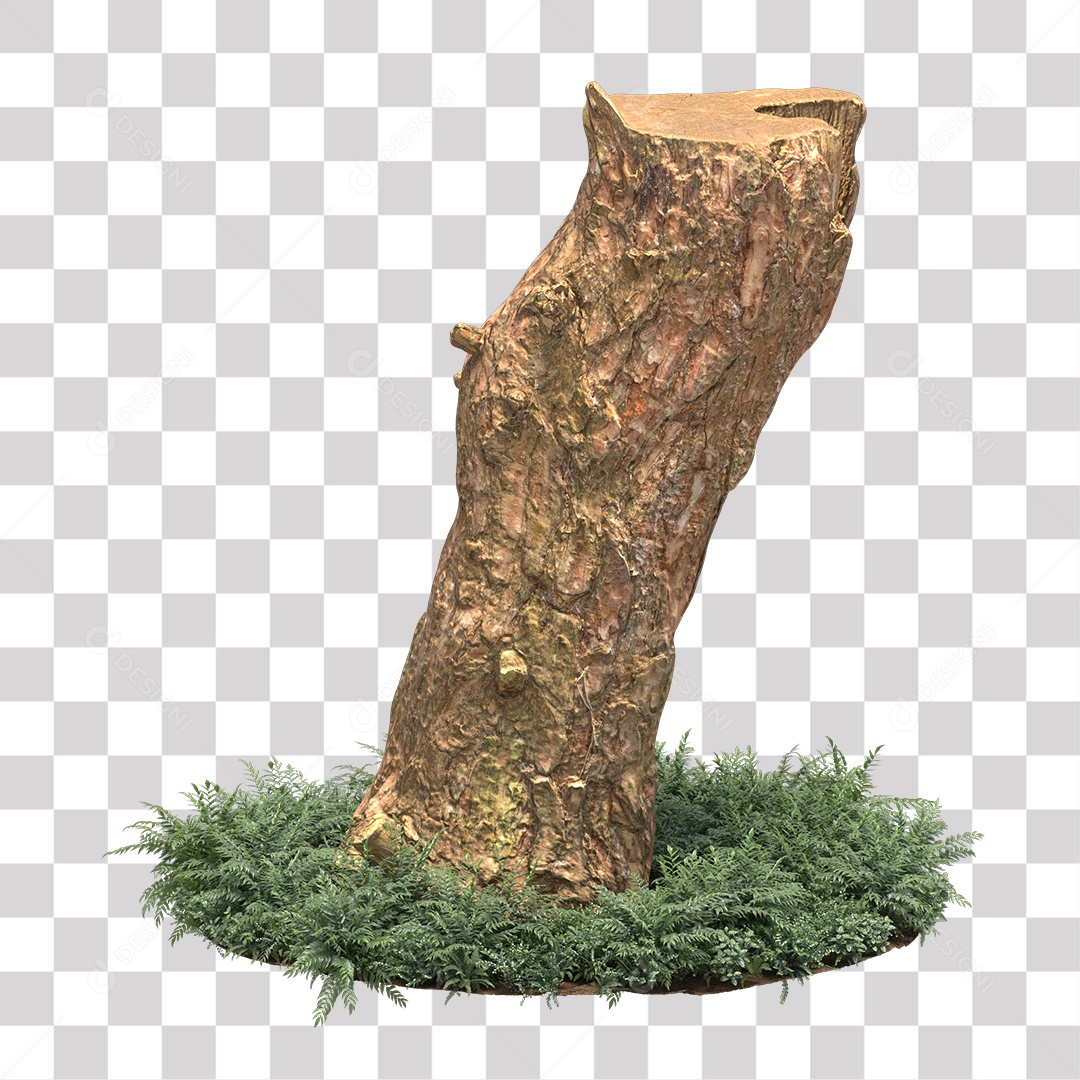 Tronco de árvore Planta PNG Transparente