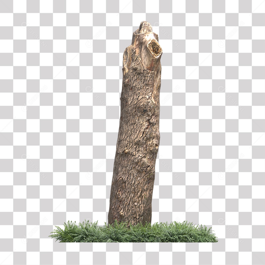 Tronco de árvore Planta PNG Transparente