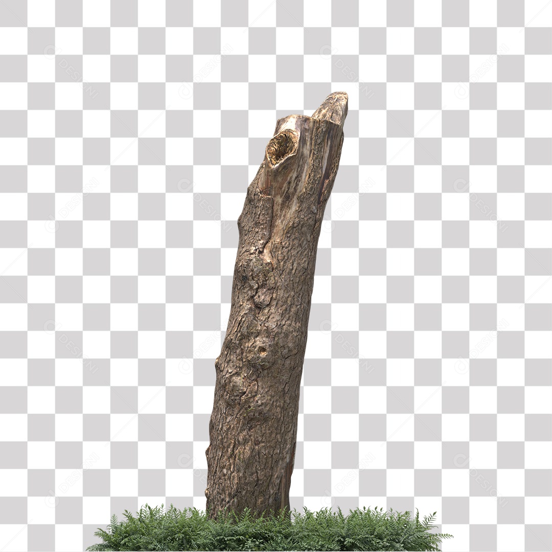 Tronco de árvore Planta PNG Transparente