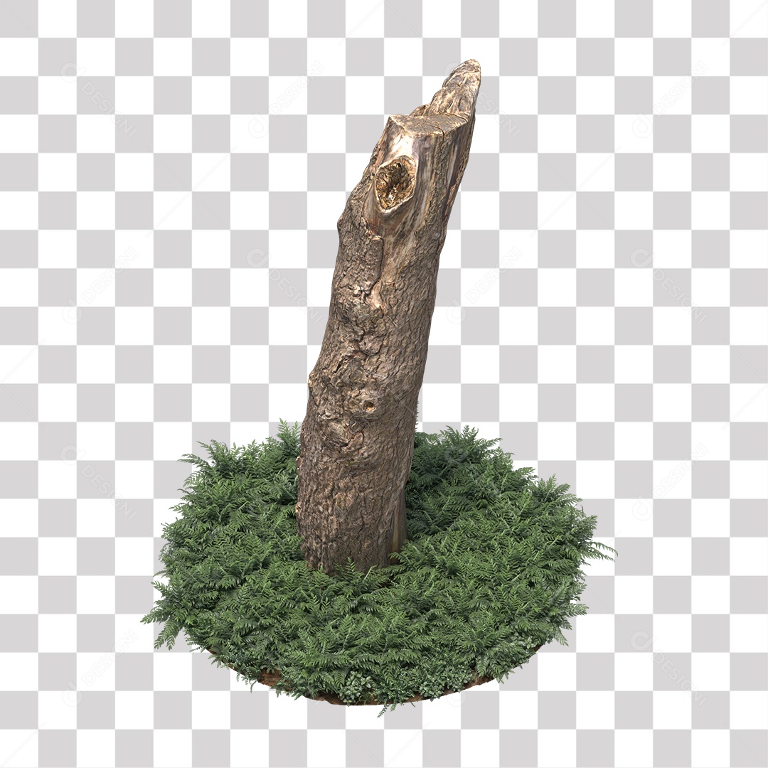 Tronco de árvore Planta PNG Transparente