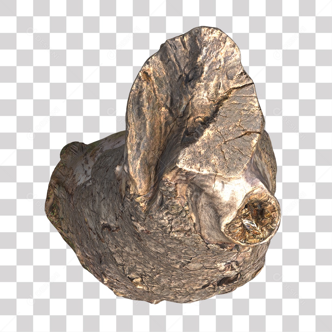 Tronco de árvore Planta PNG Transparente