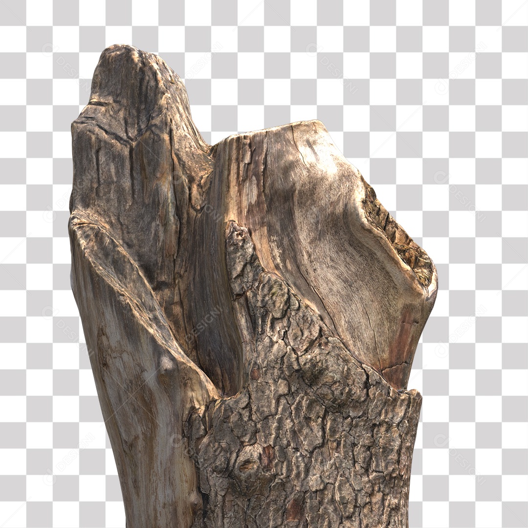 Tronco de árvore Planta PNG Transparente