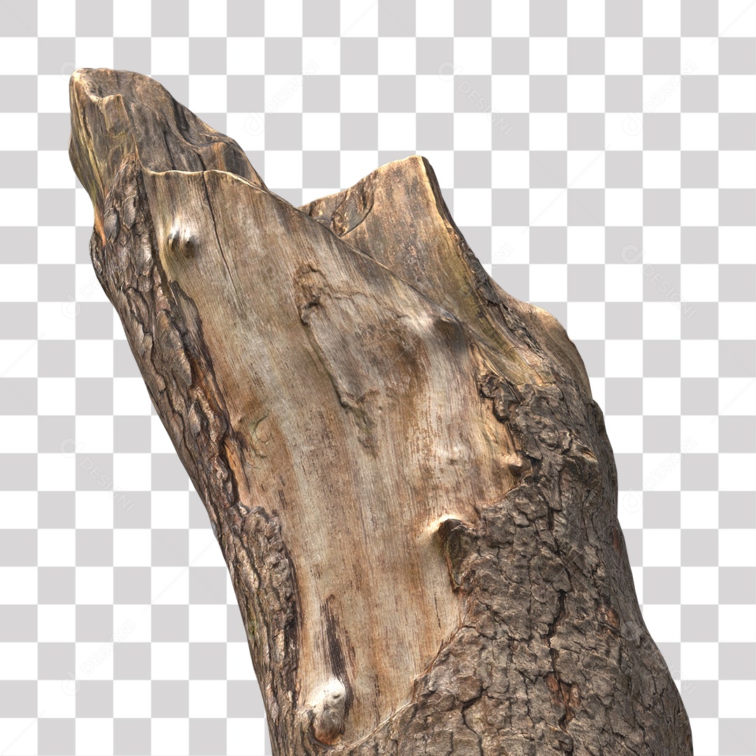 Tronco de árvore Planta PNG Transparente