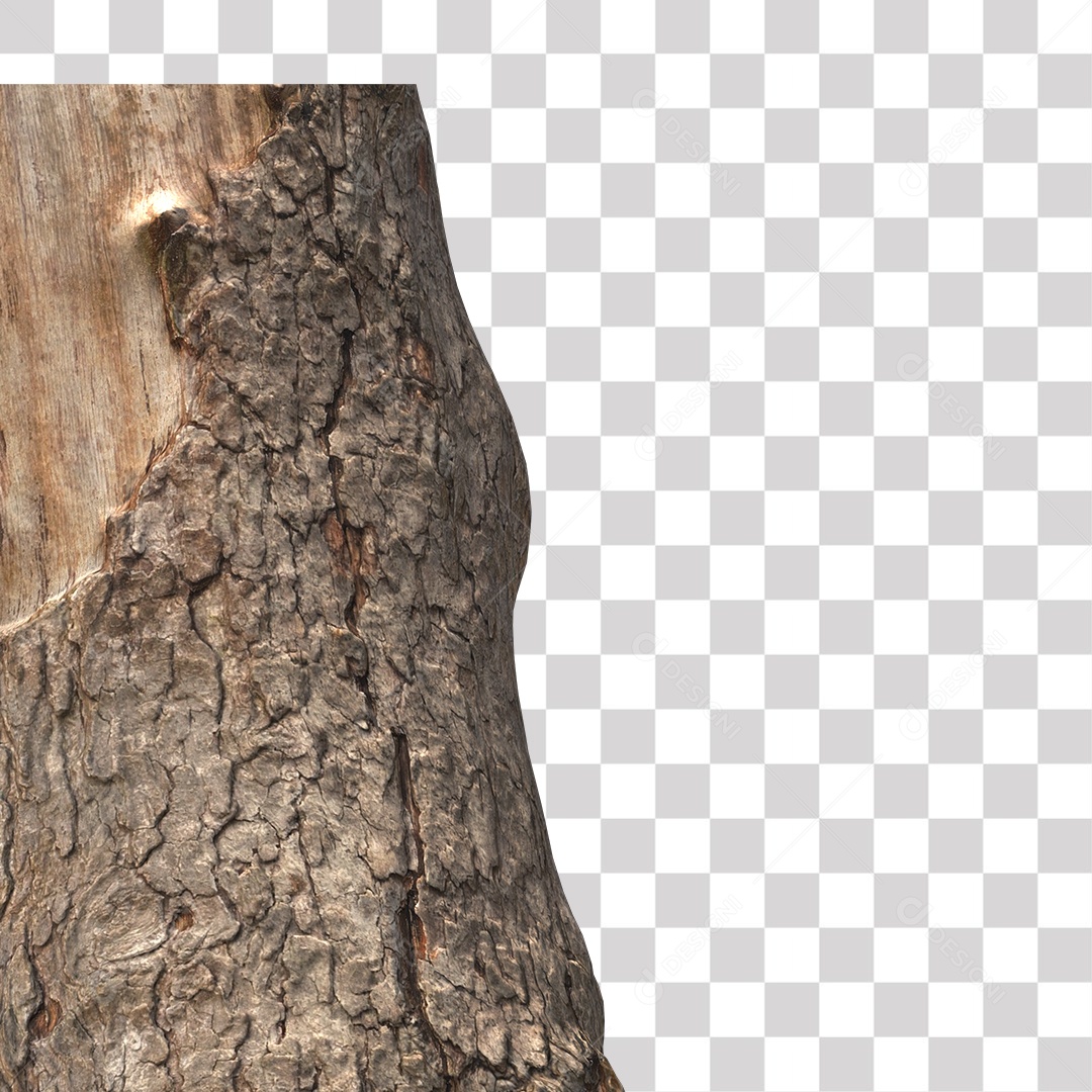 Tronco de árvore Planta PNG Transparente