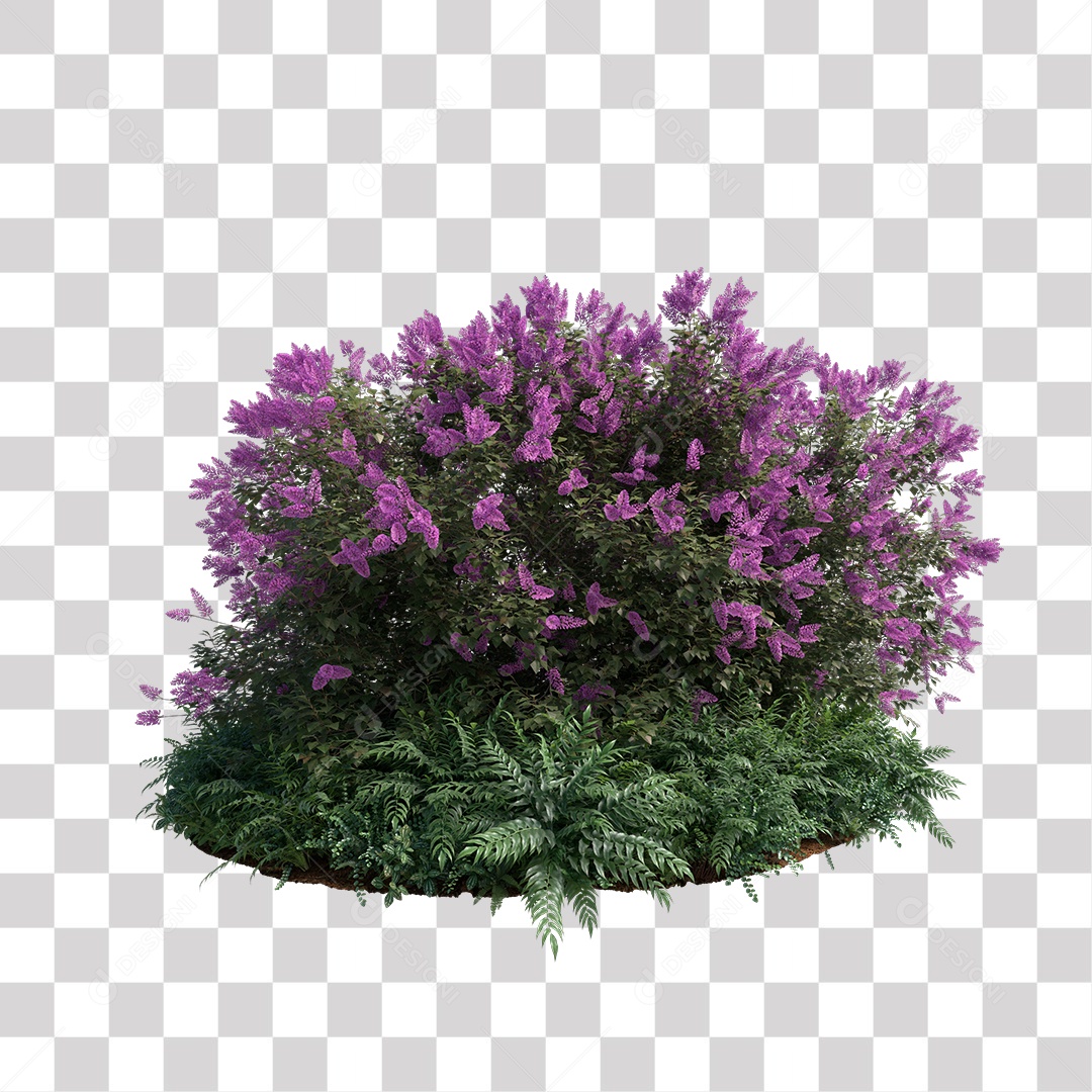 Flor Planta PNG Transparente