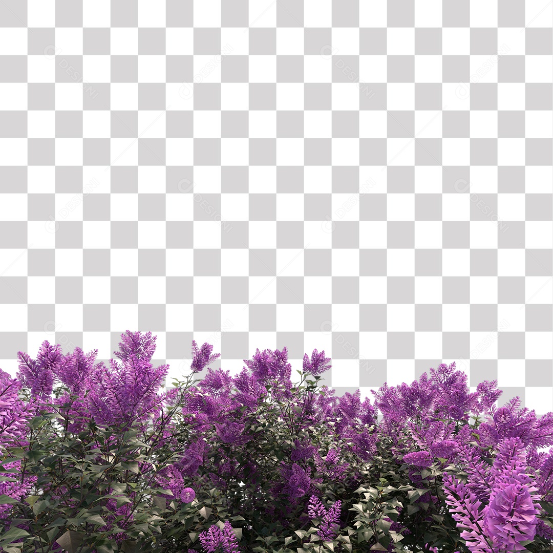 Flor Planta PNG Transparente