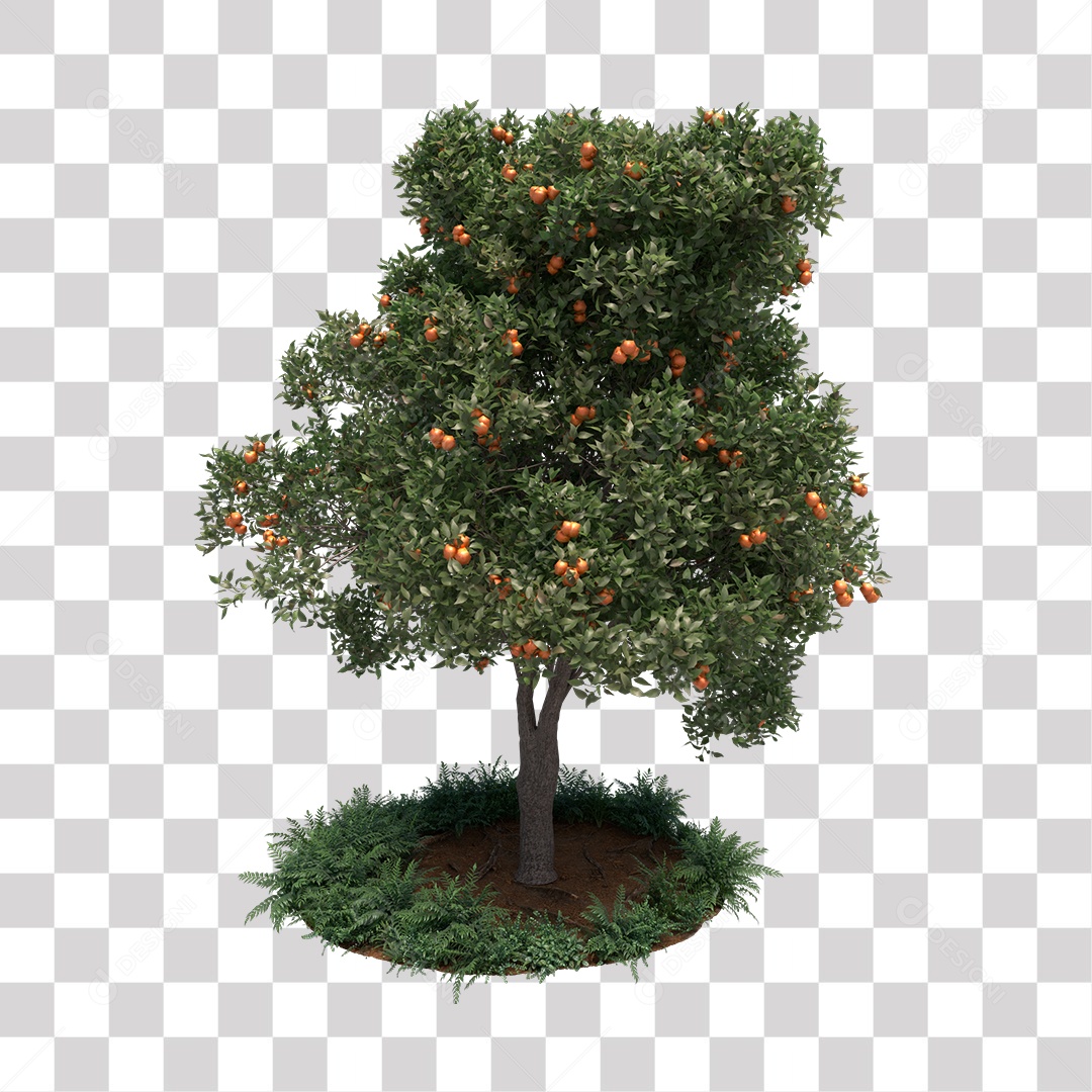 Árvore de Folha Verde Fruto Planta PNG Transparente