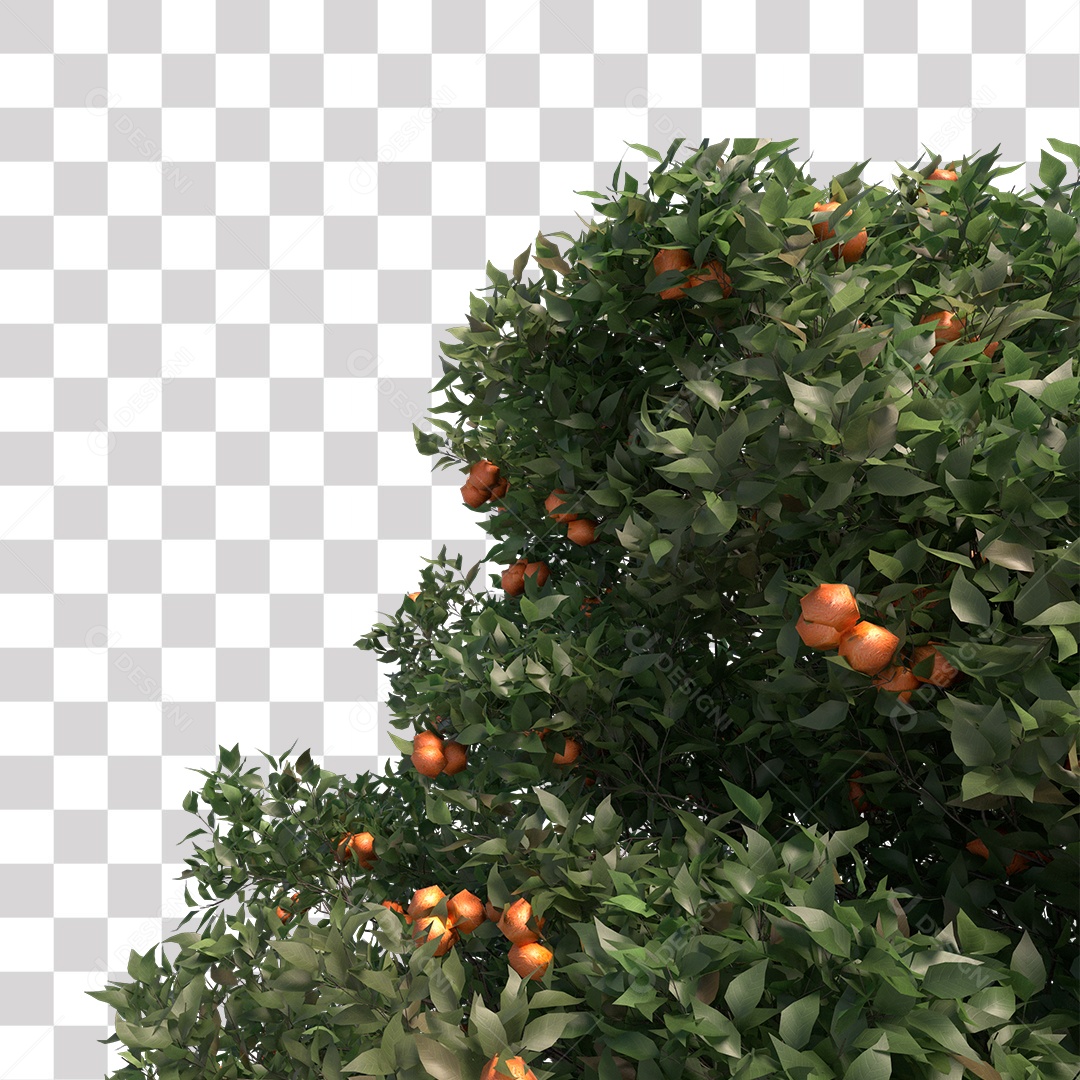 Árvore de Folha Verde Fruto Planta PNG Transparente