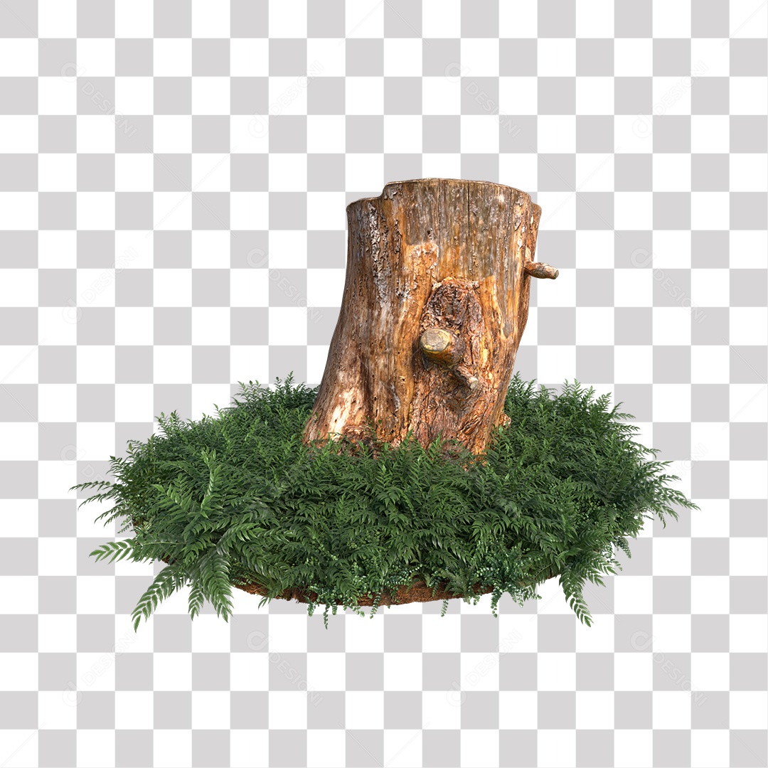 Tronco de árvore Planta PNG Transparente