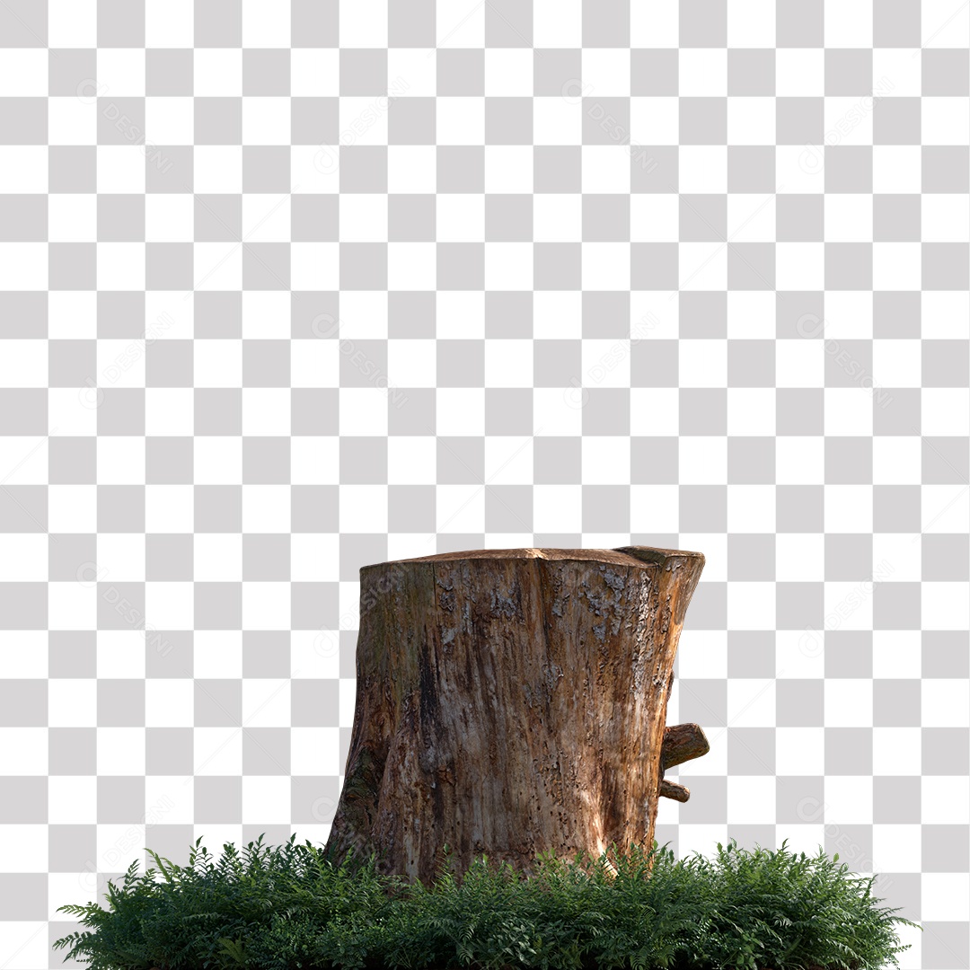 Tronco de árvore Planta PNG Transparente