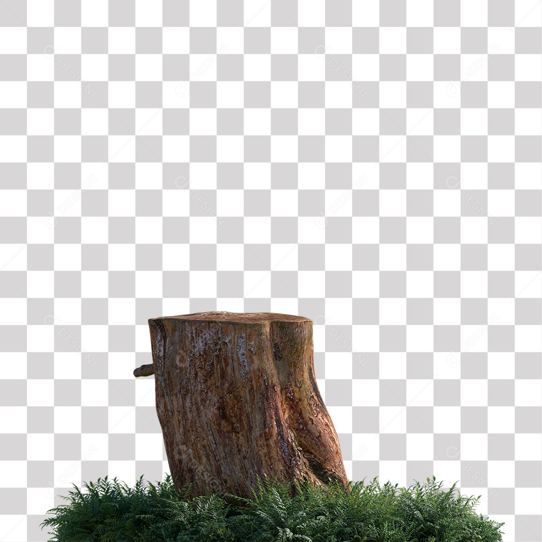 Tronco de árvore Planta PNG Transparente