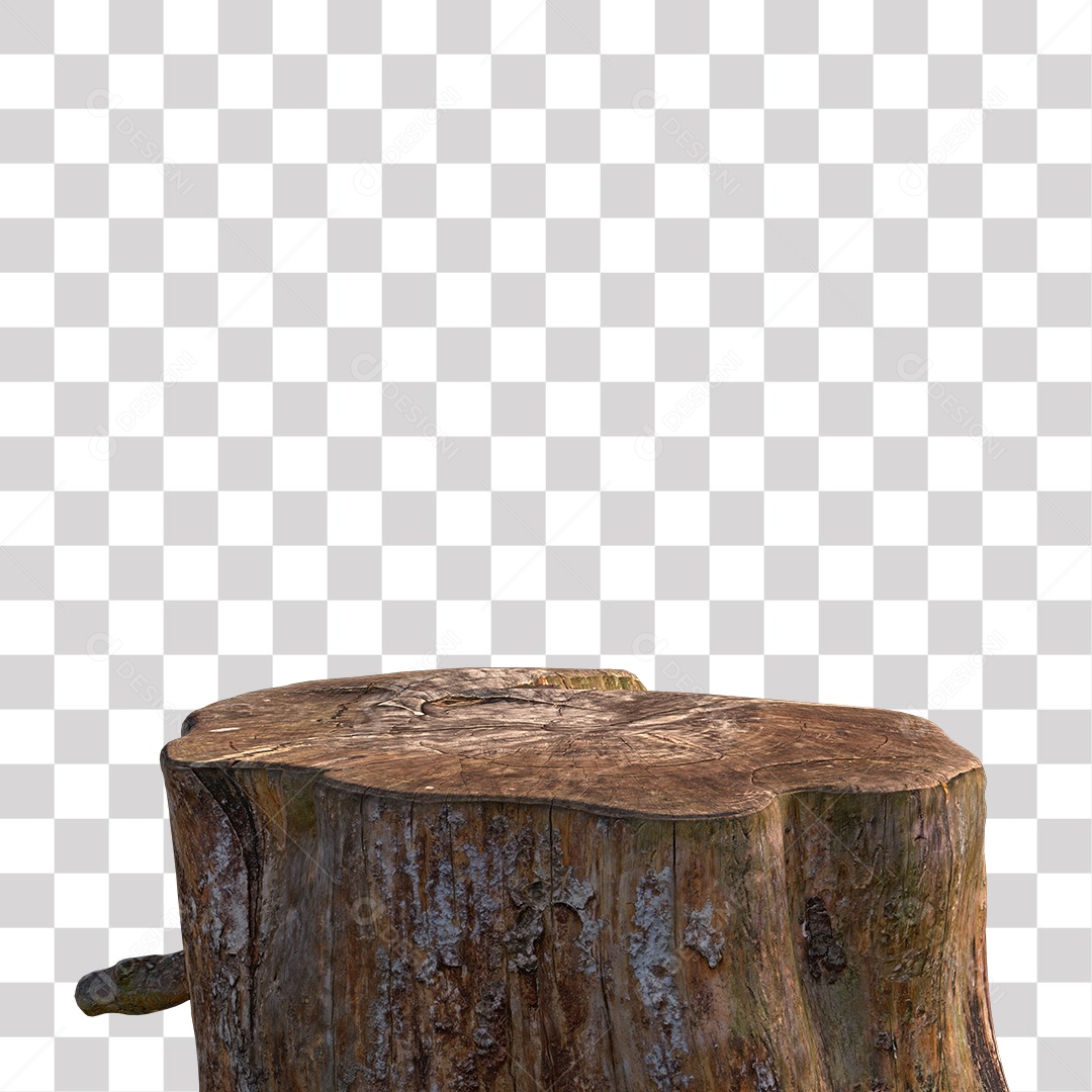 Tronco de árvore Planta PNG Transparente