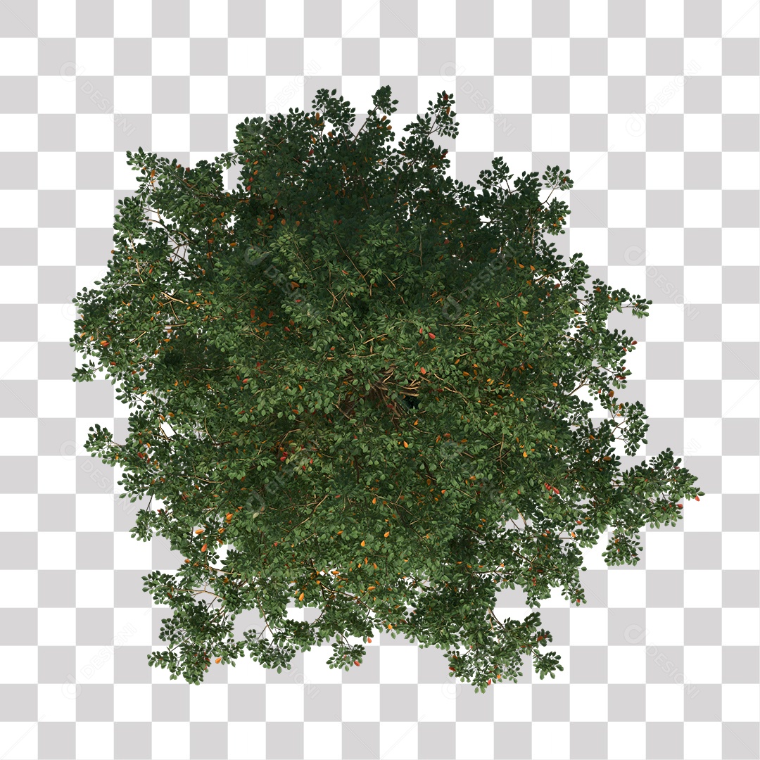 Árvore de Folha Verde Coqueiro Planta PNG Transparente