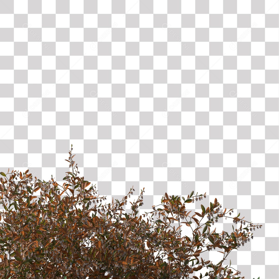 Árvore de Folha Seca Planta PNG Transparente