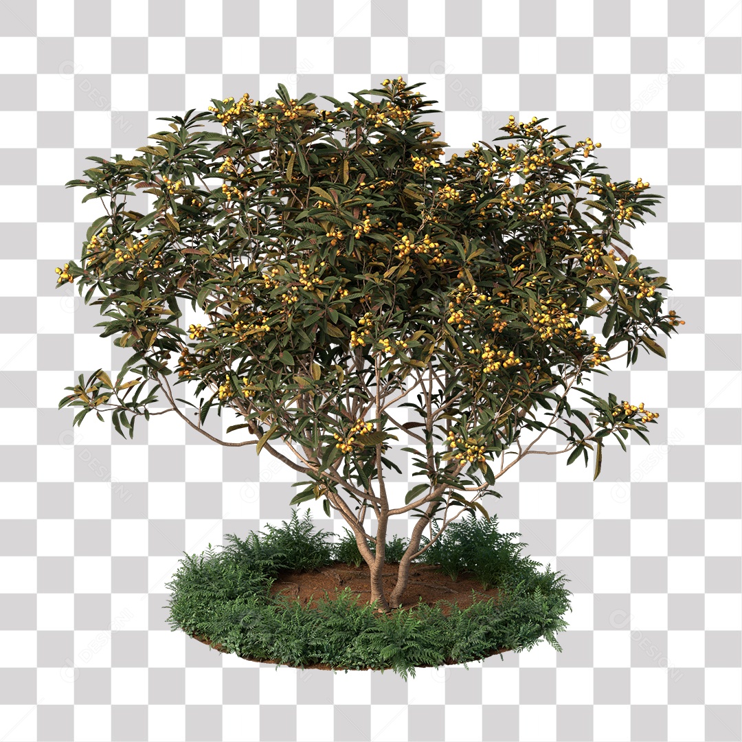 Árvore de Folha Verde Fruto Planta PNG Transparente