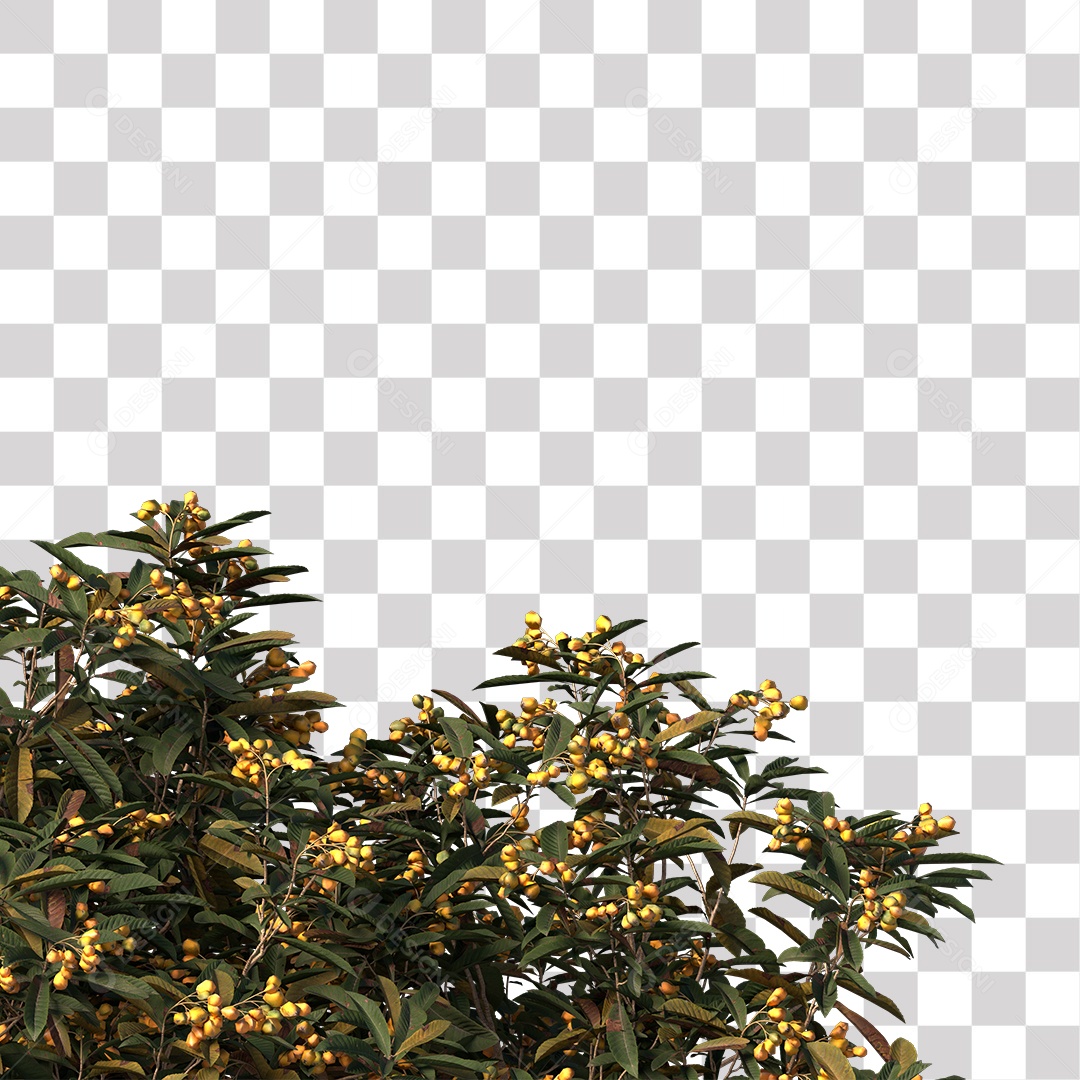 Árvore de Folha Verde Fruto Planta PNG Transparente