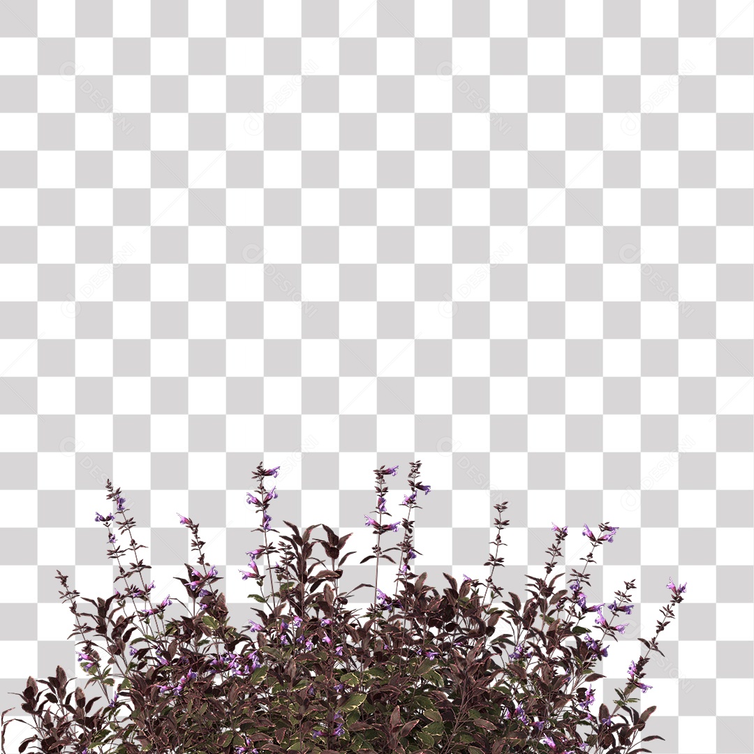 Flor Planta PNG Transparente