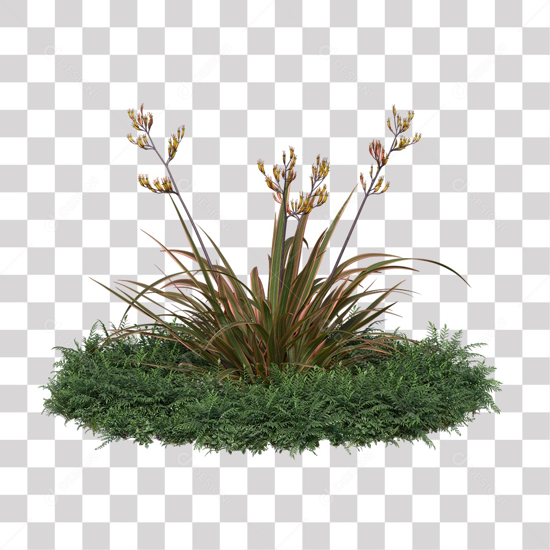 Flor Planta PNG Transparente