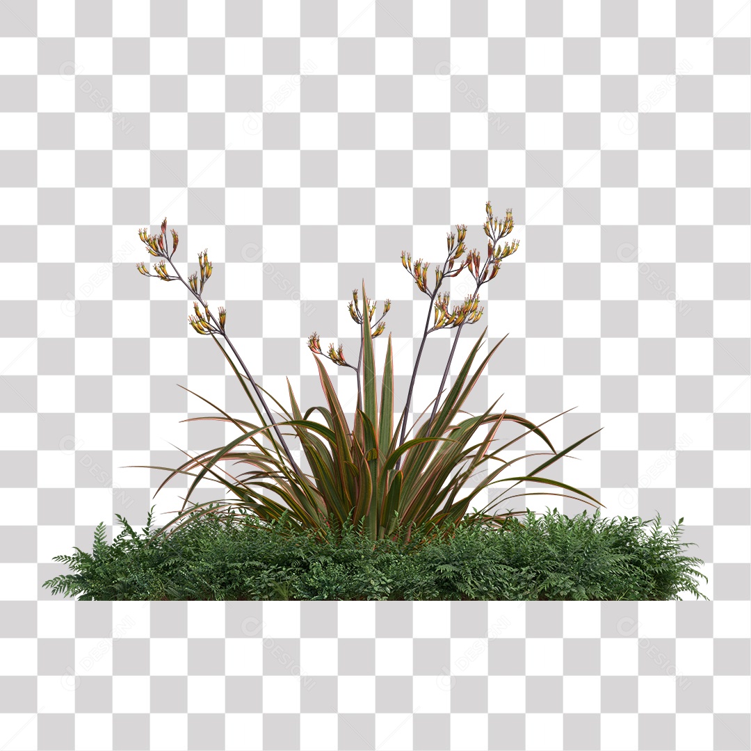 Flor Planta PNG Transparente