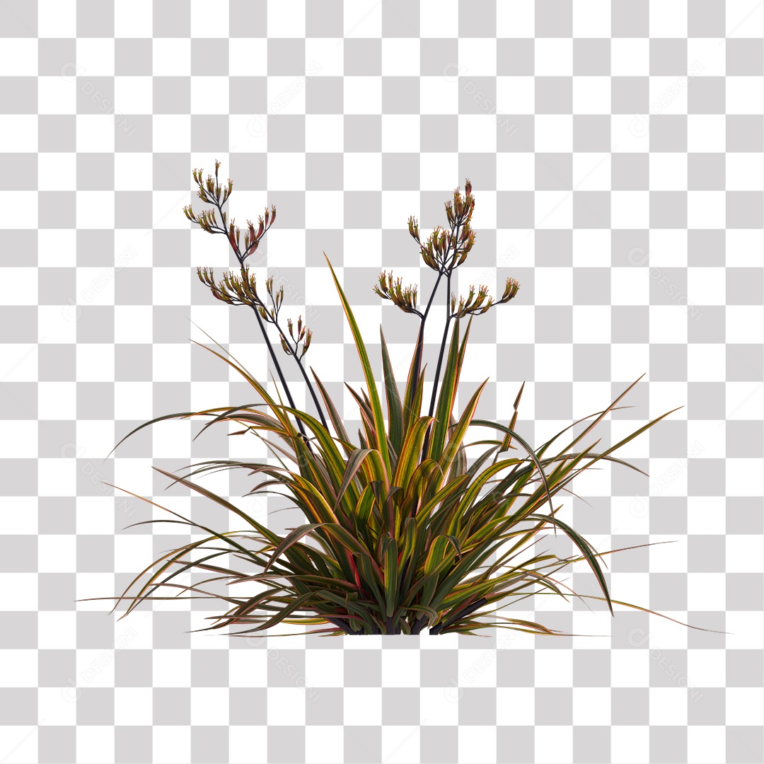 Flor Planta PNG Transparente