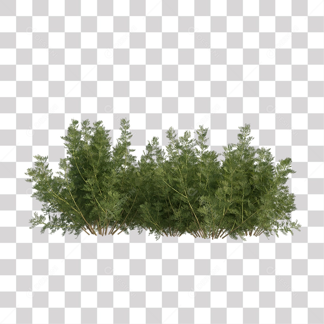 Folha Verde Planta PNG Transparente