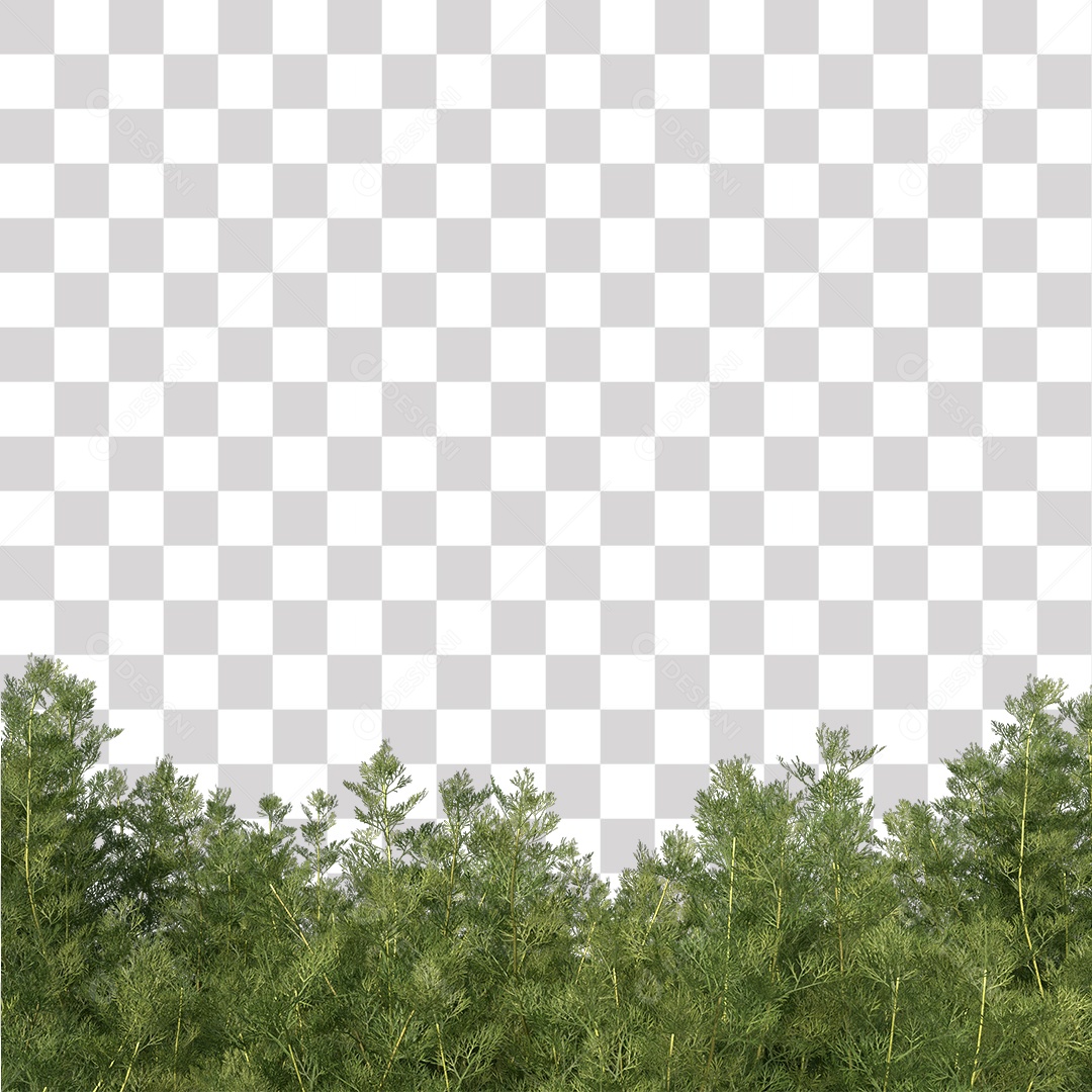 Folha Verde Planta PNG Transparente