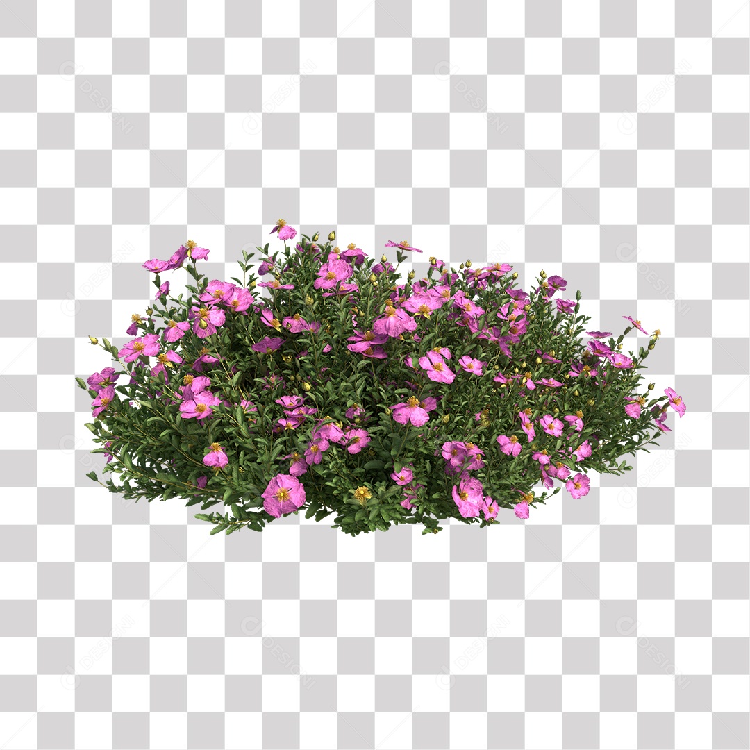 Flor Planta PNG Transparente