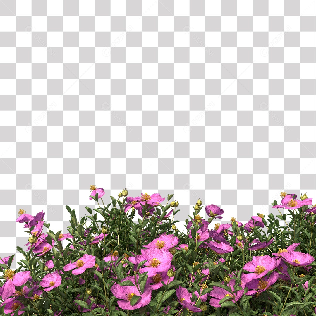 Flor Planta PNG Transparente