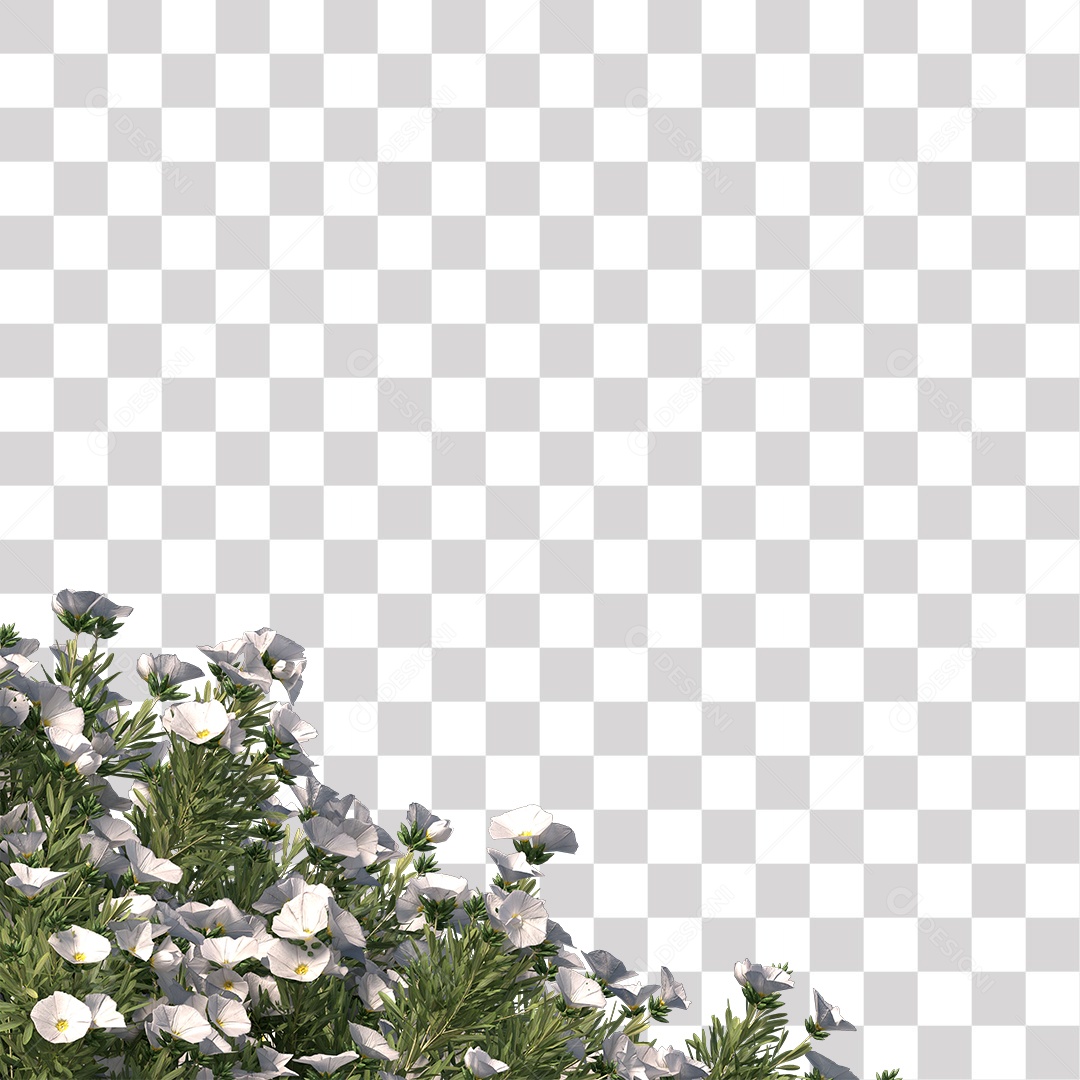 Planta com Flor PNG Transparente