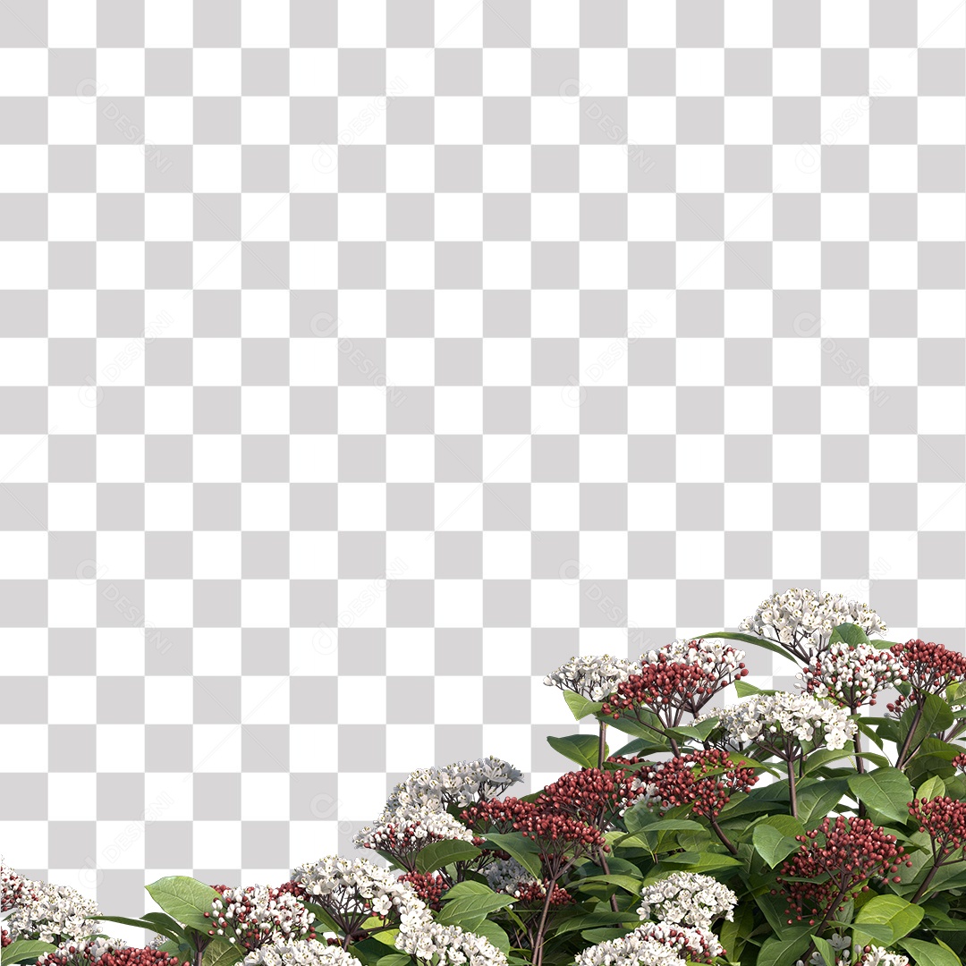 Planta com Flor PNG Transparente