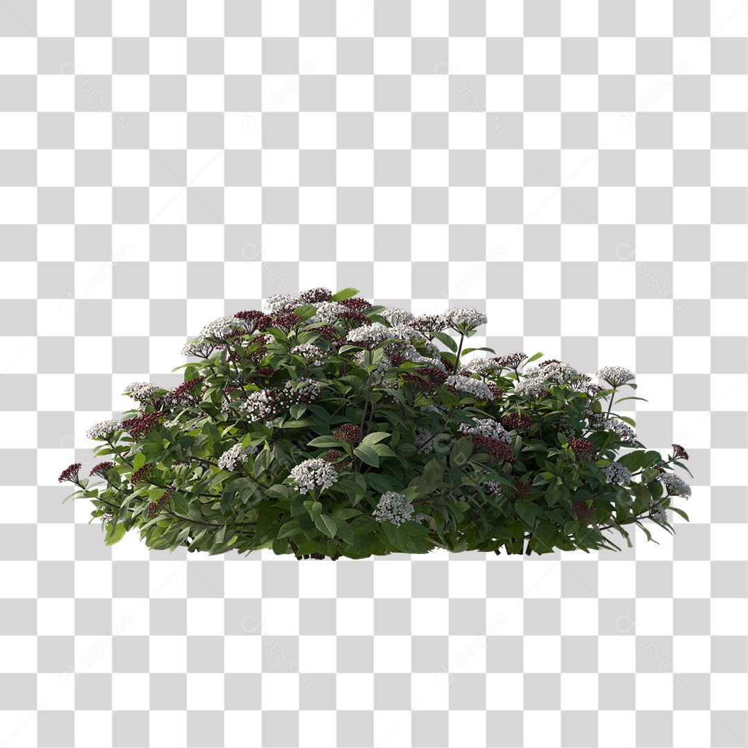 Planta com Flor PNG Transparente