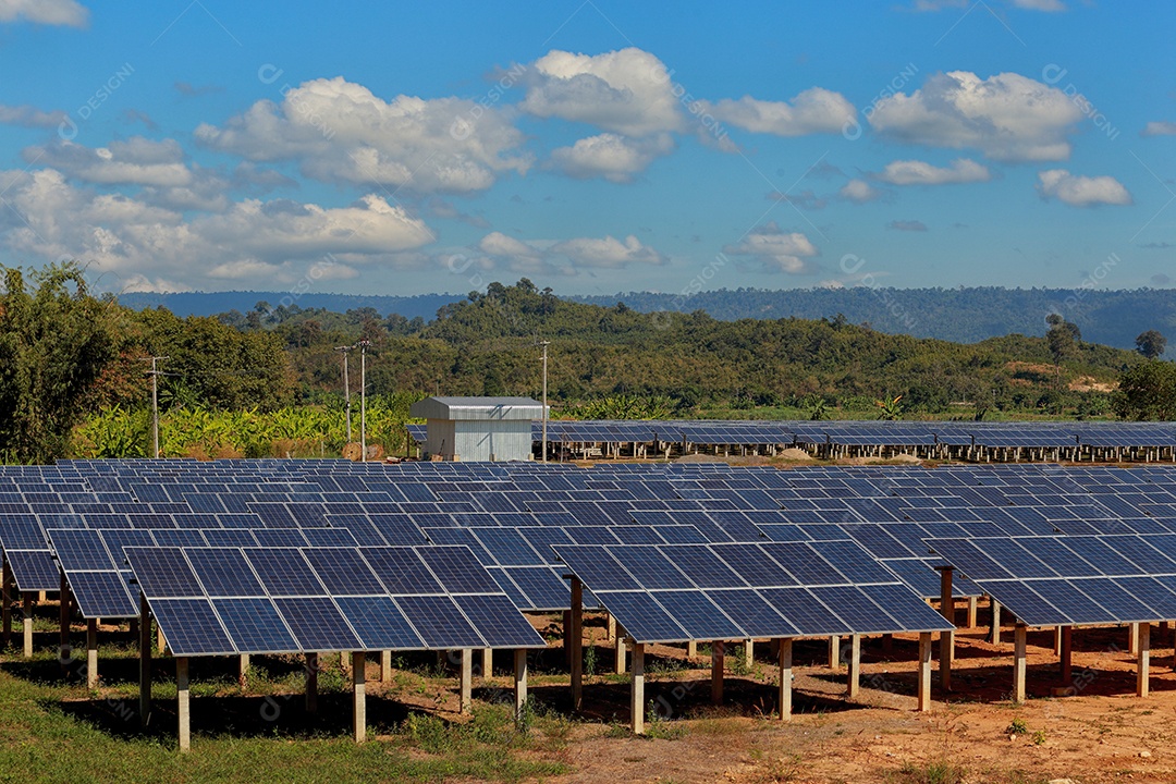 energia verde da fazenda solar da luz do sol mostra muita célula solar