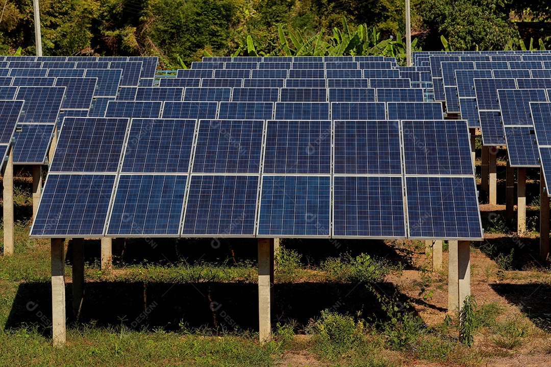 energia verde da fazenda solar da luz do sol mostra muita célula solar