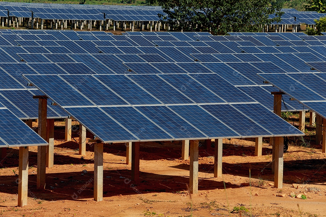 energia verde da fazenda solar da luz do sol mostra muita célula solar