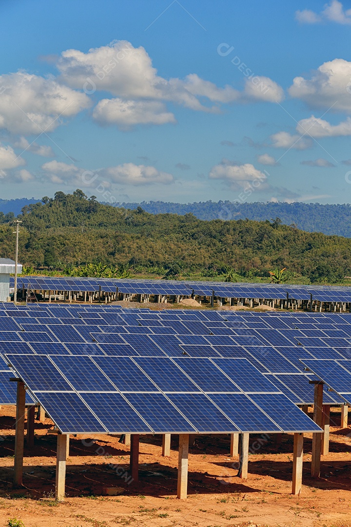 energia verde da fazenda solar da luz do sol mostra muita célula solar